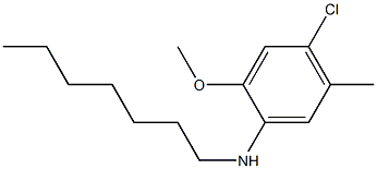 4-chloro-N-heptyl-2-methoxy-5-methylaniline 结构式