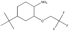 4-tert-butyl-2-(2,2,2-trifluoroethoxy)cyclohexanamine 结构式