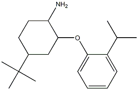 4-tert-butyl-2-[2-(propan-2-yl)phenoxy]cyclohexan-1-amine 结构式