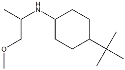 4-tert-butyl-N-(1-methoxypropan-2-yl)cyclohexan-1-amine 结构式