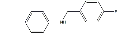 4-tert-butyl-N-[(4-fluorophenyl)methyl]aniline 结构式