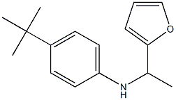 4-tert-butyl-N-[1-(furan-2-yl)ethyl]aniline 结构式