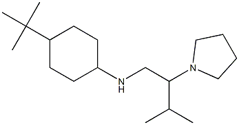 4-tert-butyl-N-[3-methyl-2-(pyrrolidin-1-yl)butyl]cyclohexan-1-amine 结构式