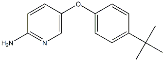 5-(4-tert-butylphenoxy)pyridin-2-amine 结构式