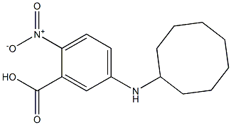 5-(cyclooctylamino)-2-nitrobenzoic acid 结构式