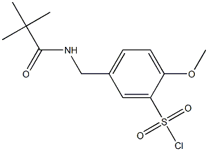 5-[(2,2-dimethylpropanamido)methyl]-2-methoxybenzene-1-sulfonyl chloride 结构式