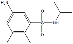 5-amino-2,3-dimethyl-N-(propan-2-yl)benzene-1-sulfonamide 结构式