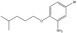 5-bromo-2-[(4-methylpentyl)oxy]aniline 结构式