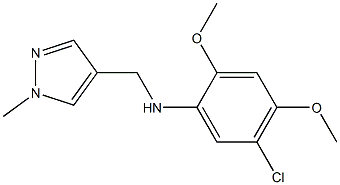 5-chloro-2,4-dimethoxy-N-[(1-methyl-1H-pyrazol-4-yl)methyl]aniline 结构式