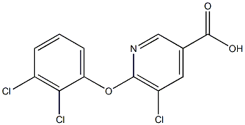 5-chloro-6-(2,3-dichlorophenoxy)pyridine-3-carboxylic acid 结构式