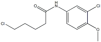 5-chloro-N-(3-chloro-4-methoxyphenyl)pentanamide 结构式