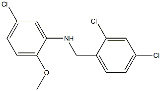 5-chloro-N-[(2,4-dichlorophenyl)methyl]-2-methoxyaniline 结构式