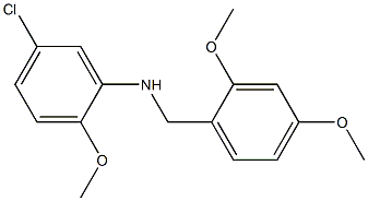 5-chloro-N-[(2,4-dimethoxyphenyl)methyl]-2-methoxyaniline 结构式