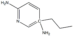 5-N-propylpyridine-2,5-diamine 结构式