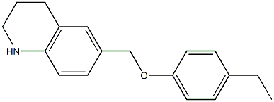 6-(4-ethylphenoxymethyl)-1,2,3,4-tetrahydroquinoline 结构式