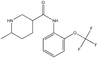 6-methyl-N-[2-(trifluoromethoxy)phenyl]piperidine-3-carboxamide 结构式