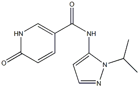 6-oxo-N-[1-(propan-2-yl)-1H-pyrazol-5-yl]-1,6-dihydropyridine-3-carboxamide 结构式