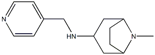 8-methyl-N-(pyridin-4-ylmethyl)-8-azabicyclo[3.2.1]octan-3-amine 结构式