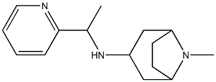 8-methyl-N-[1-(pyridin-2-yl)ethyl]-8-azabicyclo[3.2.1]octan-3-amine 结构式