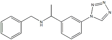 benzyl({1-[3-(1H-1,2,3,4-tetrazol-1-yl)phenyl]ethyl})amine 结构式