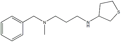 benzyl(methyl)[3-(thiolan-3-ylamino)propyl]amine 结构式