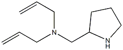 bis(prop-2-en-1-yl)(pyrrolidin-2-ylmethyl)amine 结构式