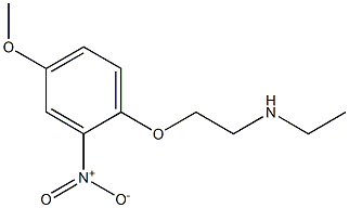 ethyl[2-(4-methoxy-2-nitrophenoxy)ethyl]amine 结构式