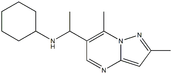 N-(1-{2,7-dimethylpyrazolo[1,5-a]pyrimidin-6-yl}ethyl)cyclohexanamine 结构式