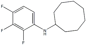 N-(2,3,4-trifluorophenyl)cyclooctanamine 结构式