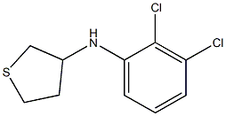 N-(2,3-dichlorophenyl)thiolan-3-amine 结构式