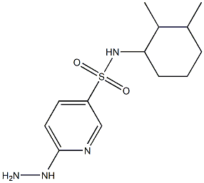 N-(2,3-dimethylcyclohexyl)-6-hydrazinylpyridine-3-sulfonamide 结构式