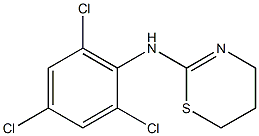 N-(2,4,6-trichlorophenyl)-5,6-dihydro-4H-1,3-thiazin-2-amine 结构式