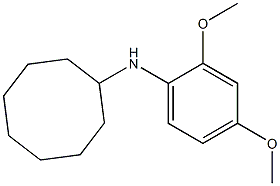N-(2,4-dimethoxyphenyl)cyclooctanamine 结构式