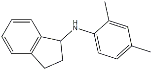 N-(2,4-dimethylphenyl)-2,3-dihydro-1H-inden-1-amine 结构式