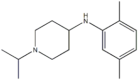 N-(2,5-dimethylphenyl)-1-(propan-2-yl)piperidin-4-amine 结构式