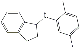 N-(2,5-dimethylphenyl)-2,3-dihydro-1H-inden-1-amine 结构式