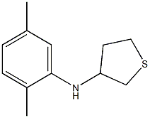 N-(2,5-dimethylphenyl)thiolan-3-amine 结构式
