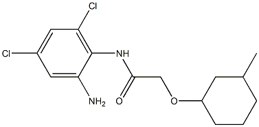 N-(2-amino-4,6-dichlorophenyl)-2-[(3-methylcyclohexyl)oxy]acetamide 结构式