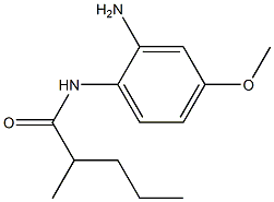 N-(2-amino-4-methoxyphenyl)-2-methylpentanamide 结构式