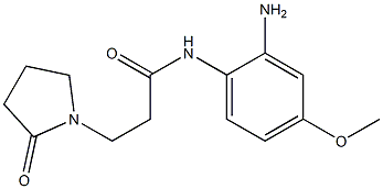 N-(2-amino-4-methoxyphenyl)-3-(2-oxopyrrolidin-1-yl)propanamide 结构式