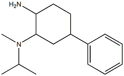 N-(2-amino-5-phenylcyclohexyl)-N-isopropyl-N-methylamine 结构式