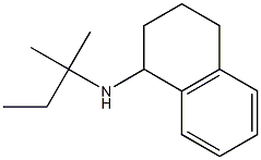 N-(2-methylbutan-2-yl)-1,2,3,4-tetrahydronaphthalen-1-amine 结构式