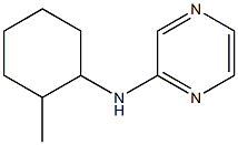 N-(2-methylcyclohexyl)pyrazin-2-amine 结构式