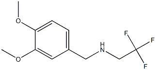 N-(3,4-dimethoxybenzyl)-N-(2,2,2-trifluoroethyl)amine 结构式