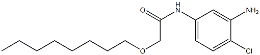 N-(3-amino-4-chlorophenyl)-2-(octyloxy)acetamide 结构式