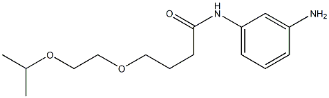 N-(3-aminophenyl)-4-[2-(propan-2-yloxy)ethoxy]butanamide 结构式