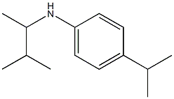 N-(3-methylbutan-2-yl)-4-(propan-2-yl)aniline 结构式