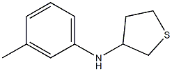 N-(3-methylphenyl)thiolan-3-amine 结构式