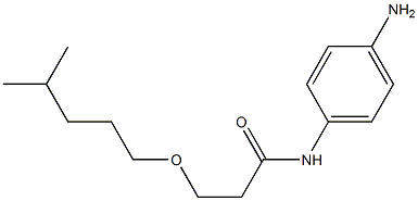 N-(4-aminophenyl)-3-[(4-methylpentyl)oxy]propanamide 结构式
