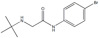 N-(4-bromophenyl)-2-(tert-butylamino)acetamide 结构式